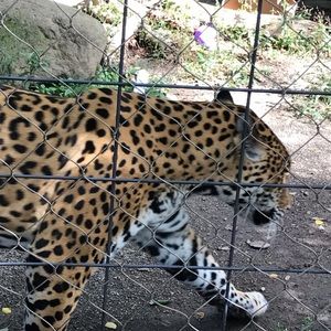 Meet your Posher, Corey